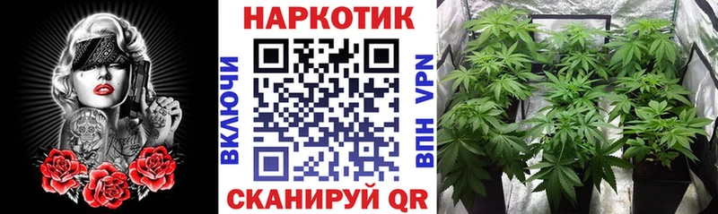 Купить наркотики цена Звенигово Каннабис  Меф мяу мяу  А ПВП  ГАШИШ 