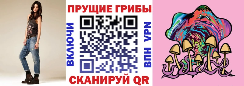 Псилоцибиновые грибы прущие грибы сколько стоит Звенигово